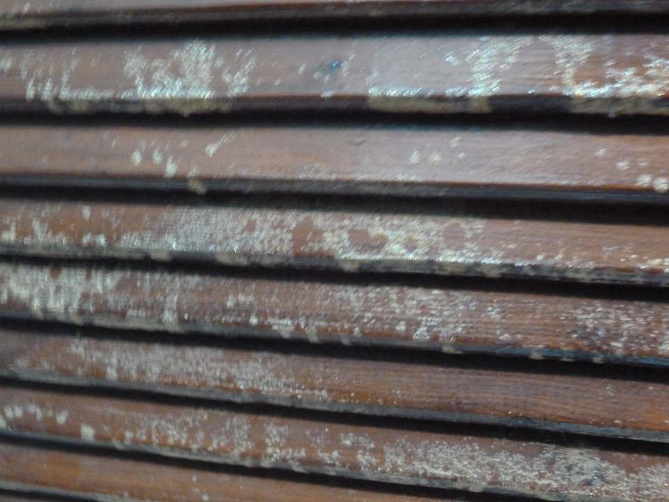 Badezimmertüre  Utopia Beach Club