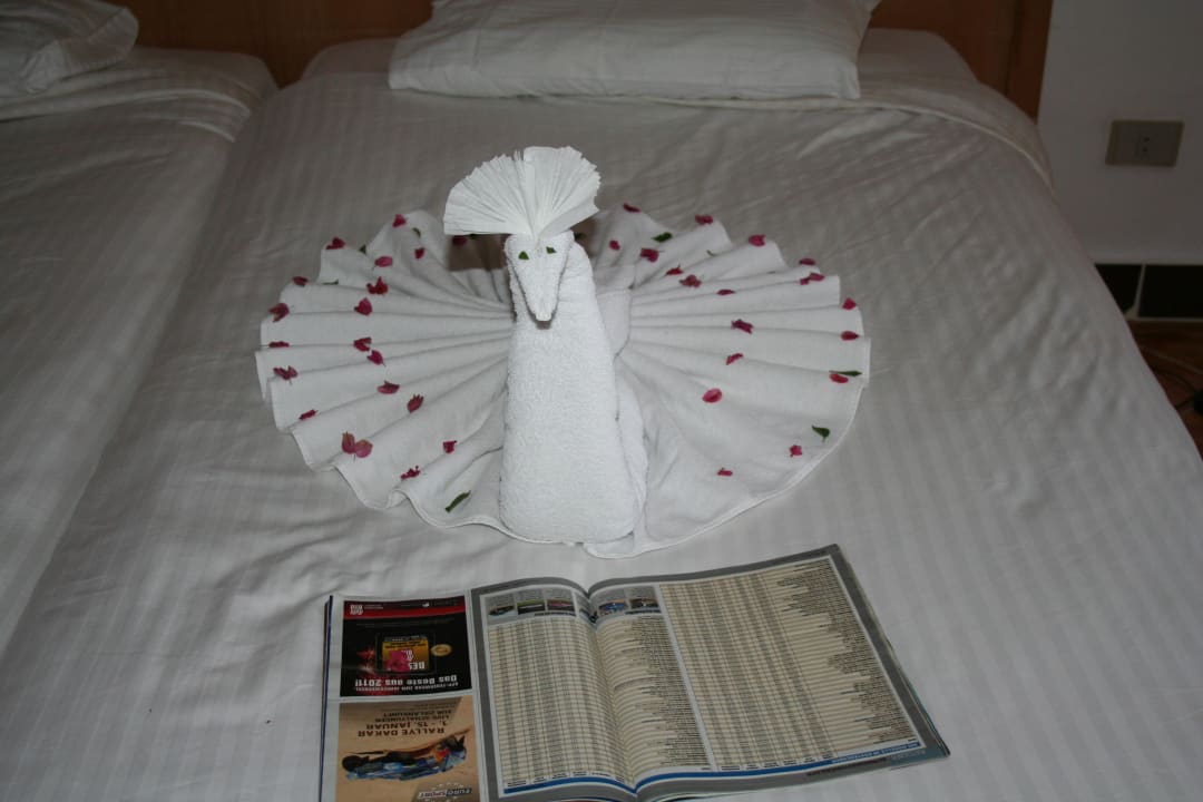 Zimmer Beach Albatros Resort