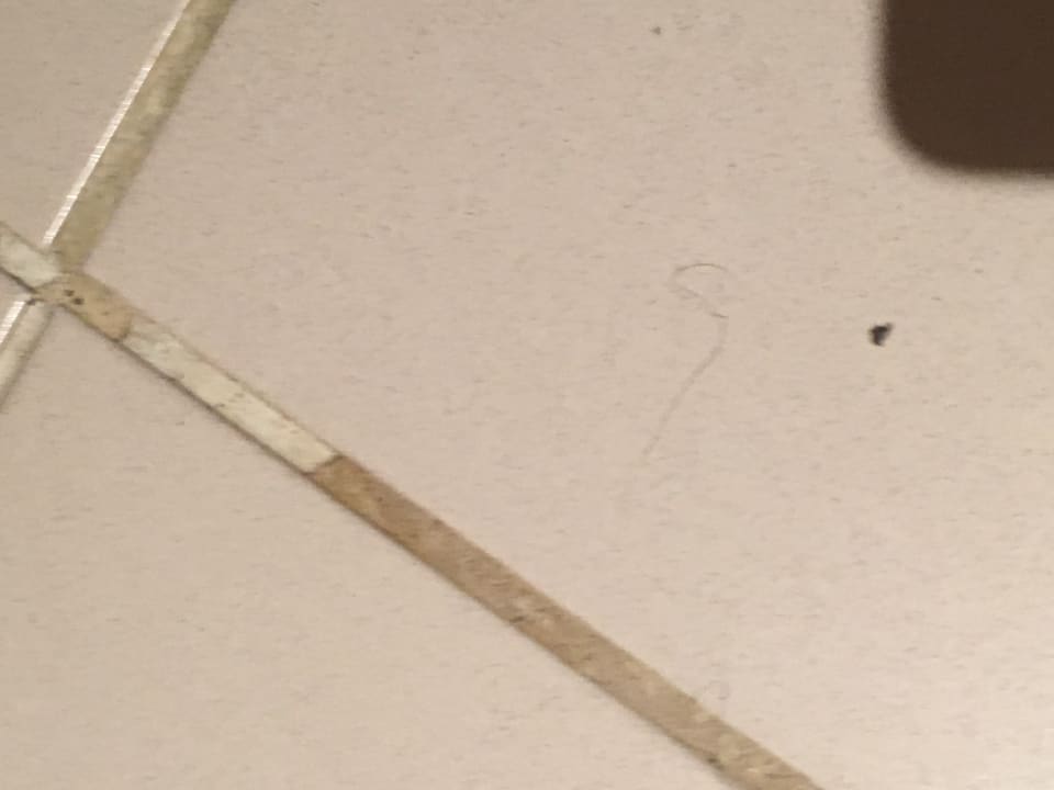 Haare vom Vorbesitzer  SBH Costa Calma Beach Resort