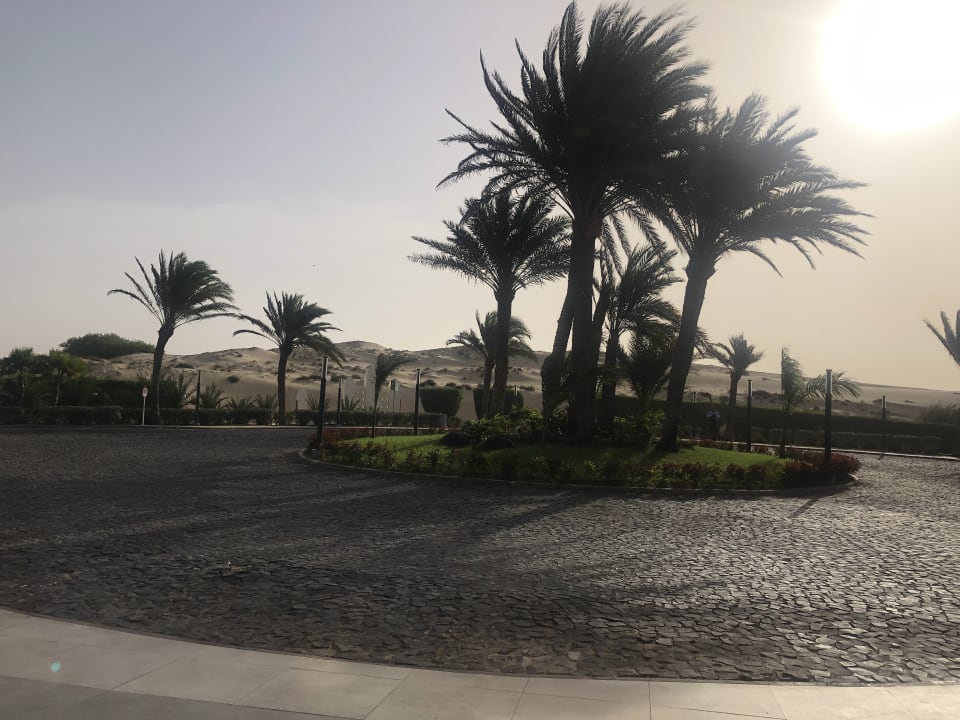 Gartenanlage Hotel Riu Karamboa
