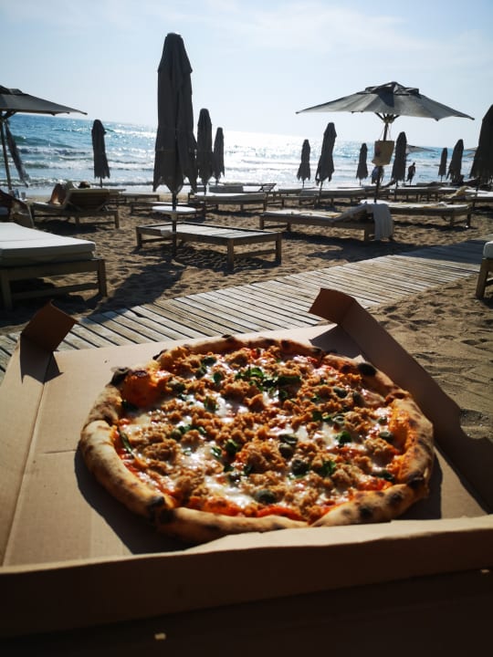 Strand Acanthus Cennet Barut Collection