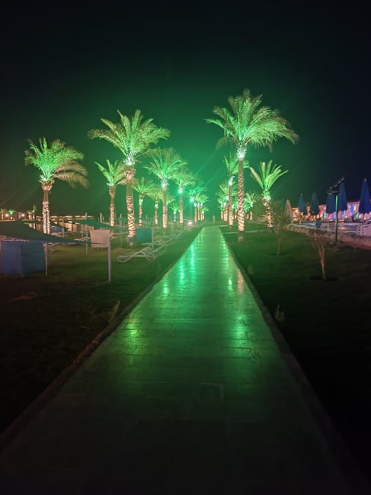 Gartenanlage Gravity Hotel & Aqua Park Hurghada