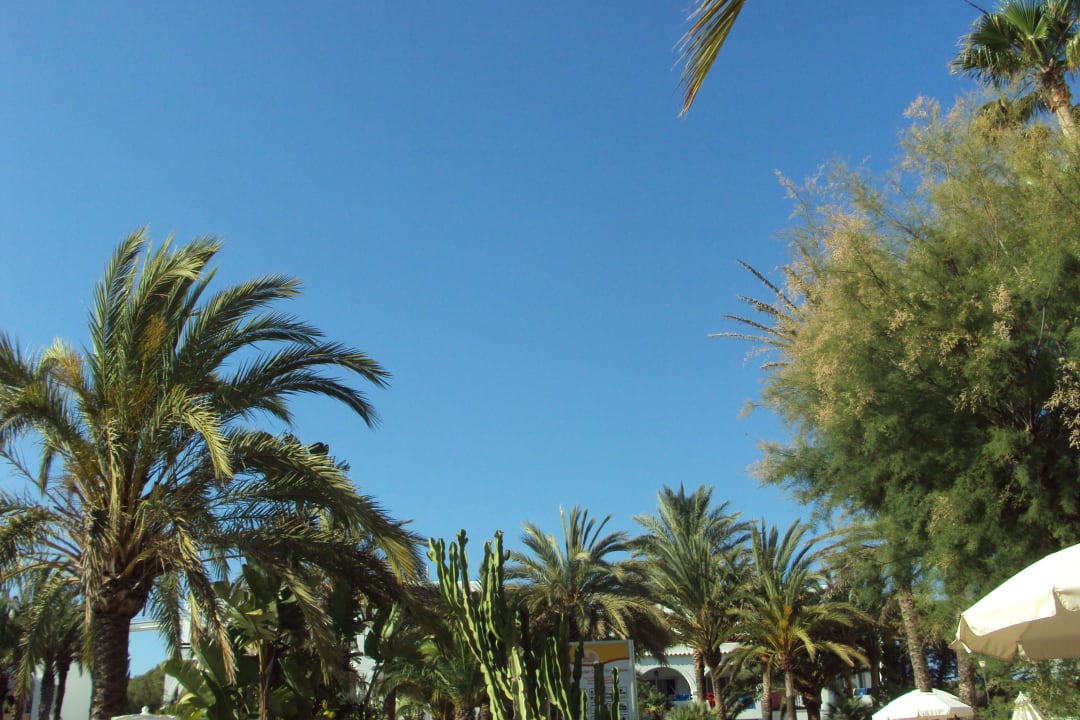 Blick von der Liege in den Himmel Calimera Fido Gardens