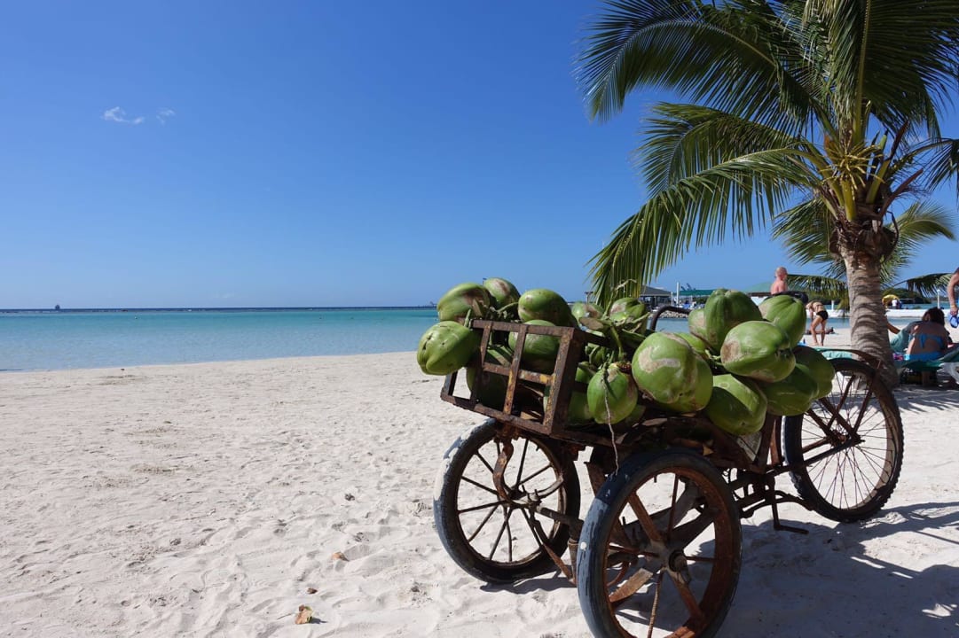 Strandblick whala!boca chica