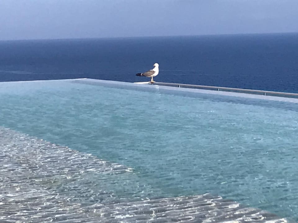 Sonstiges ROBINSON JANDIA PLAYA