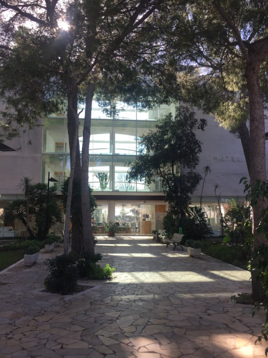 Lobby Hotel Zafiro Alzinar Mar