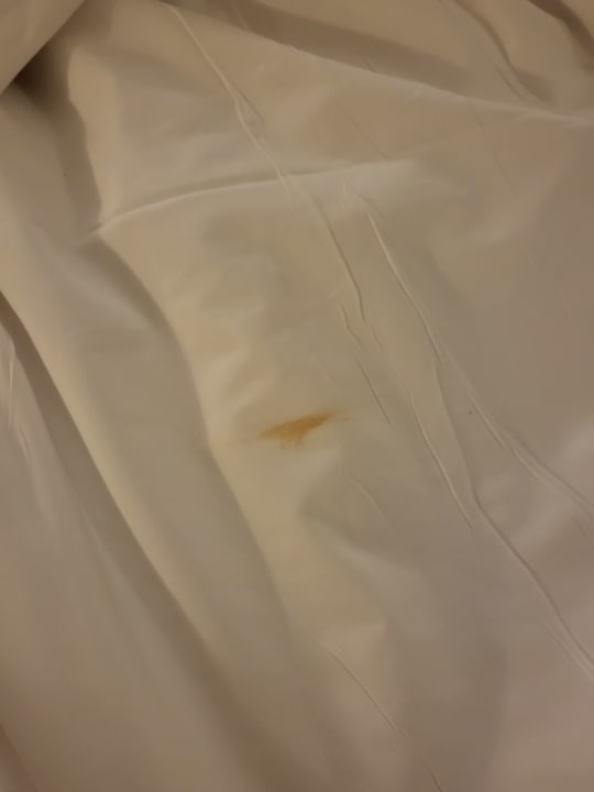 Zimmer SBH Hotel Taro Beach