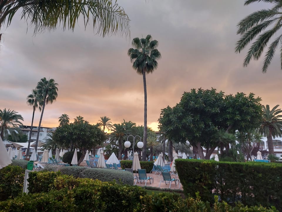 Gartenanlage Alcudia Garden Aparthotel