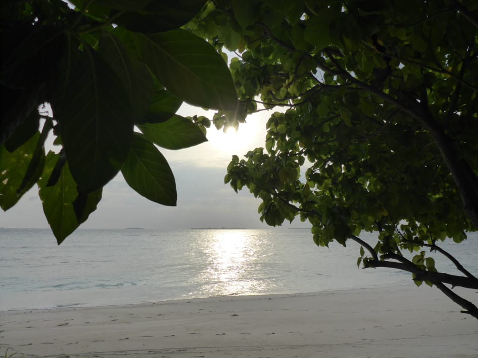 Ausblick Adaaran Select Meedhupparu Island Resort - Premium All Inclusive