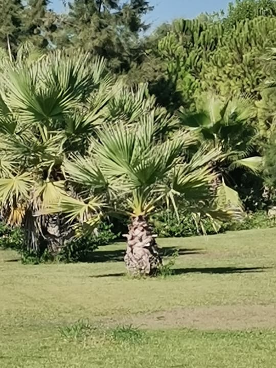 Außenansicht Glamour Resort & Spa