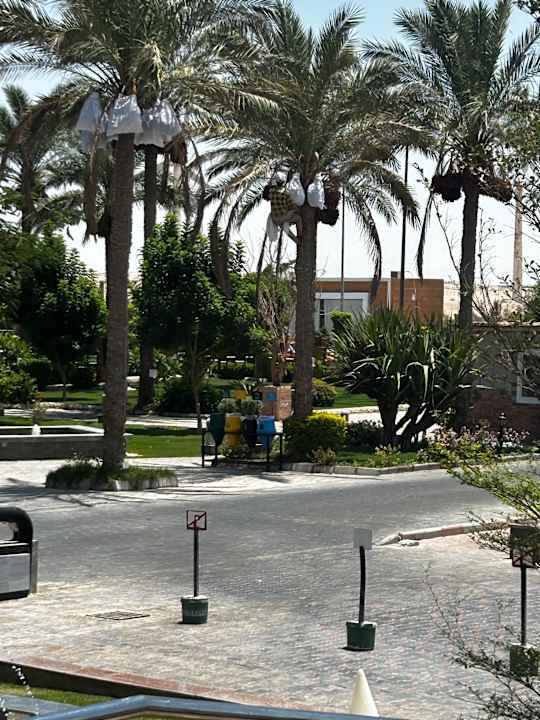 Sonstiges Golden Beach Resort