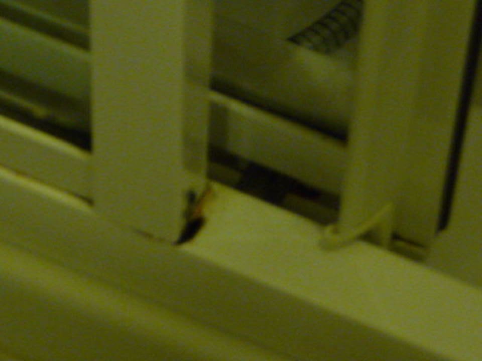 Zimmer Nr.1 Club Grand Side