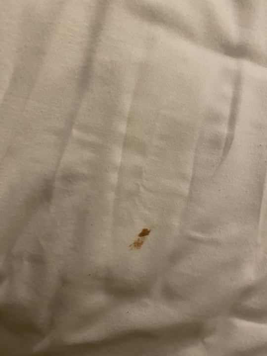 Zimmer Regina Resort and Aqua Park Hurghada