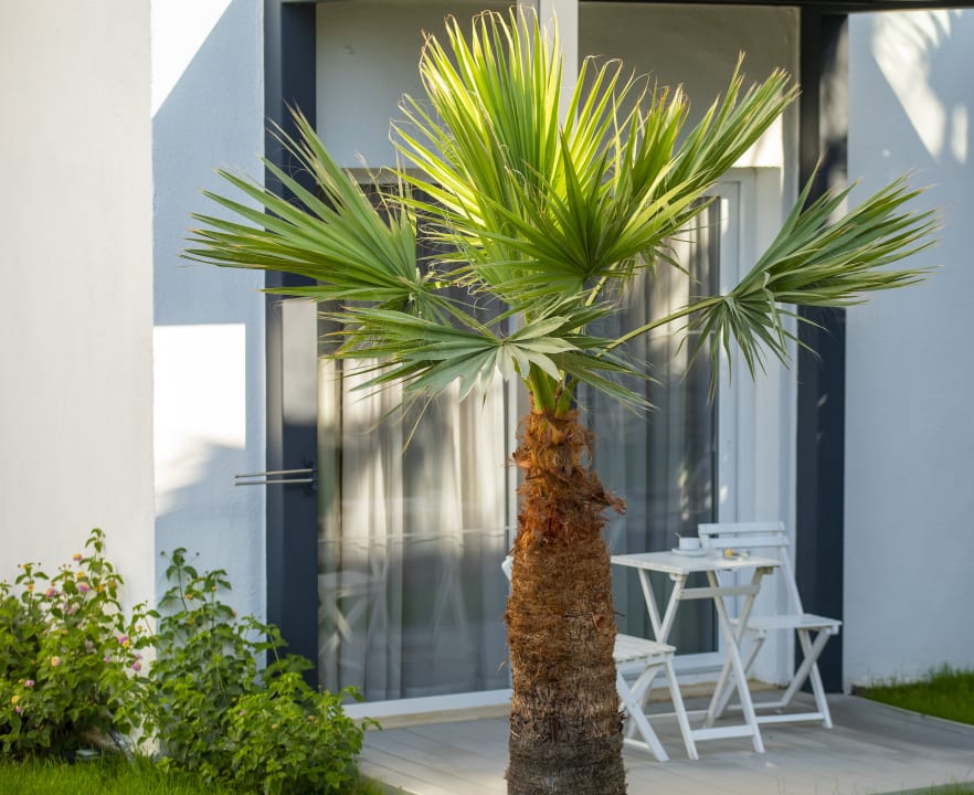 Zimmer Charm Beach Hotel