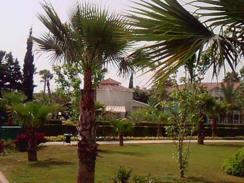 Blick auf Lobby Asteria Family Resort Side
