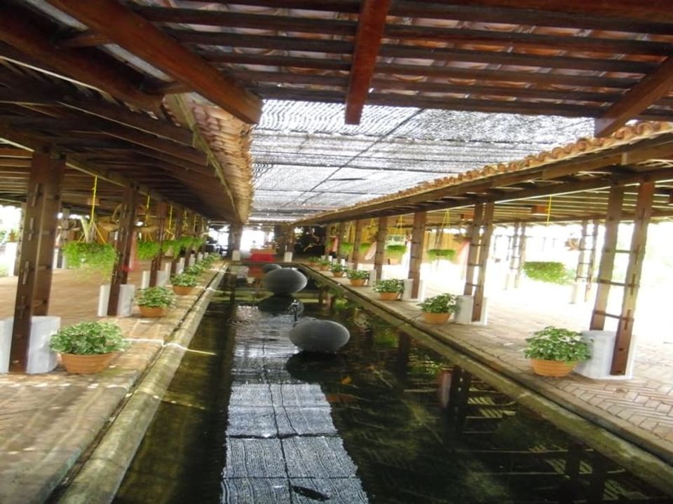 Eingangsbereich Hotel Club Bentota