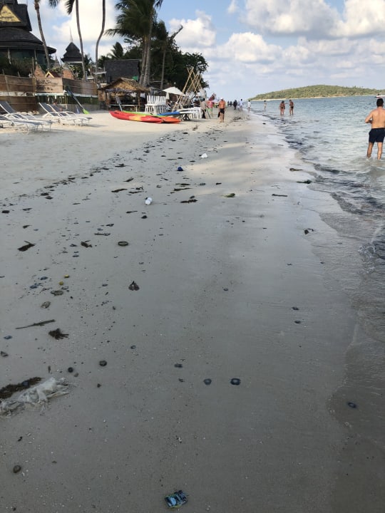 Strand Hotel Al's Hut