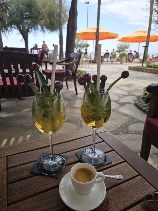 Gastro Arum Barut Collection