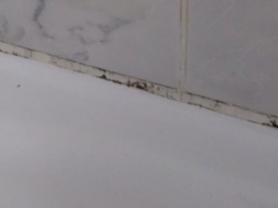 Zimmer Giftun Azur Resort