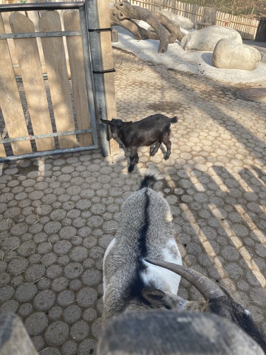 Sonstiges Natur-Resort Tripsdrill