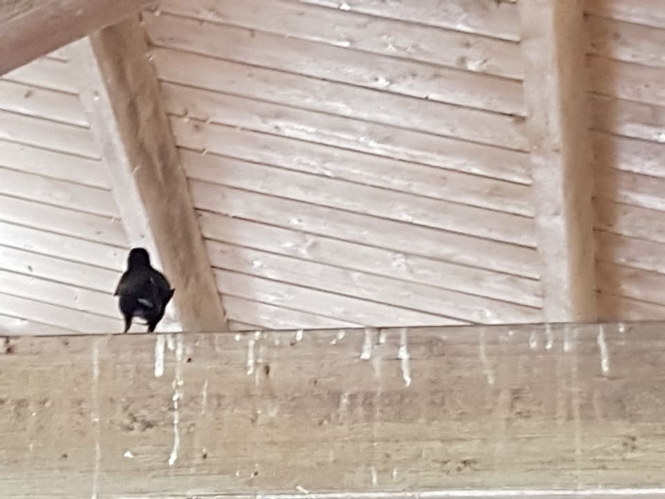 Sonstiges Hotel Playa Pesquero