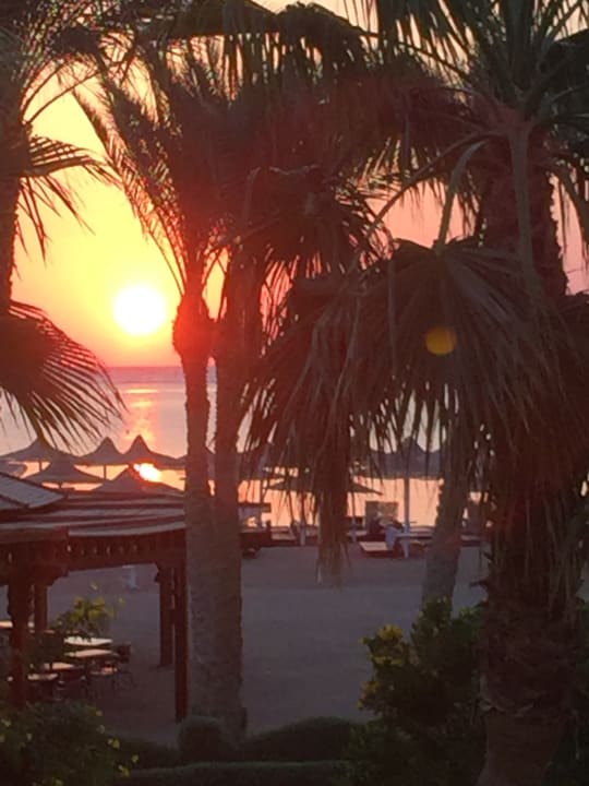 Ausblick Regency Plaza Aqua Park & Spa