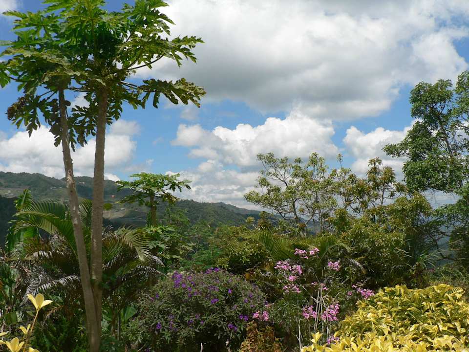 Blick vom Vorplatz Bundu Tuhan Retreat Centre