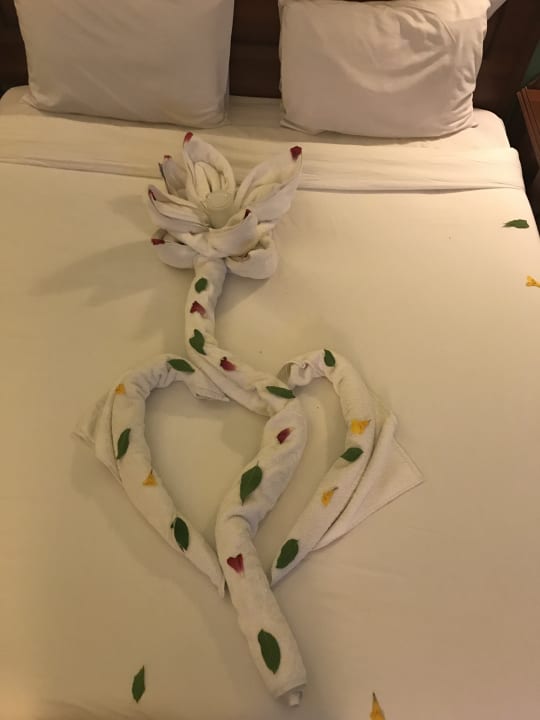 Zimmer Jasmine Palace Resort & Spa