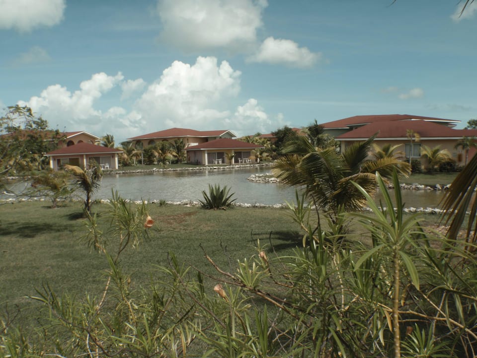 Nicht Moskitofrei Memories Caribe Beach Resort