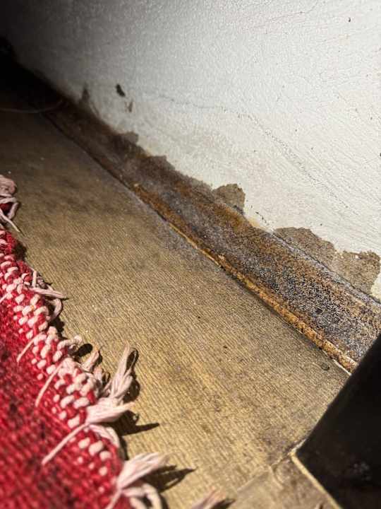 Zimmer KING SOLOMON PALACE