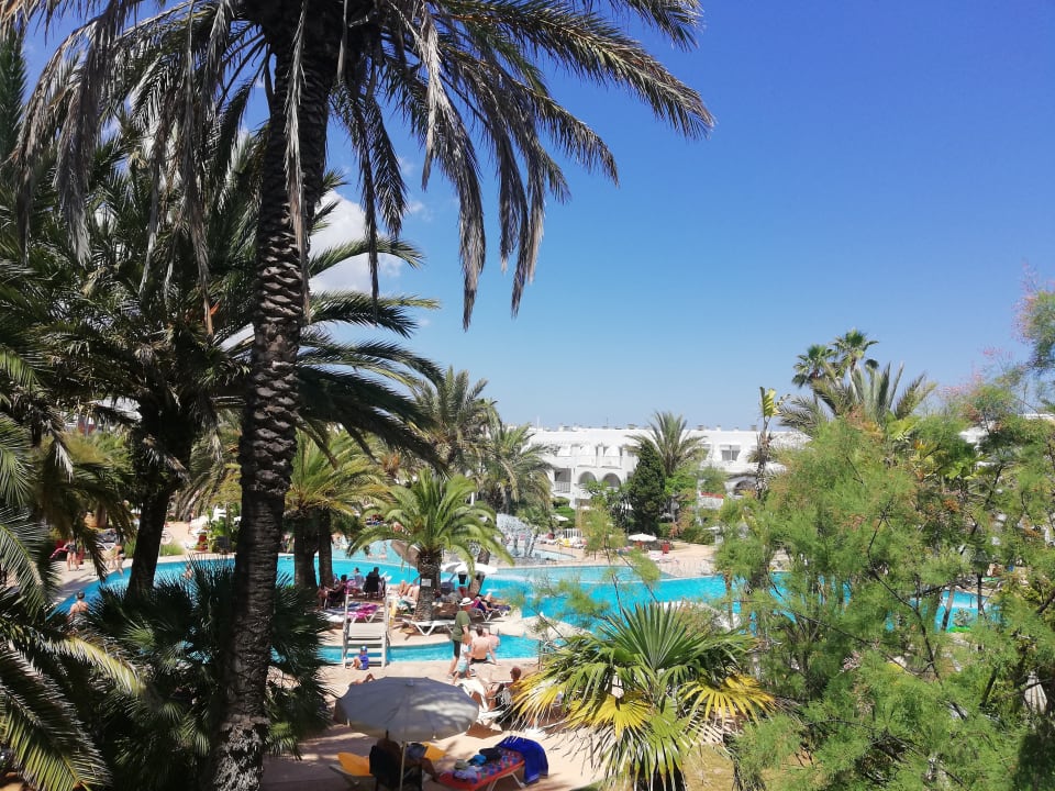 Pool Calimera Fido Gardens