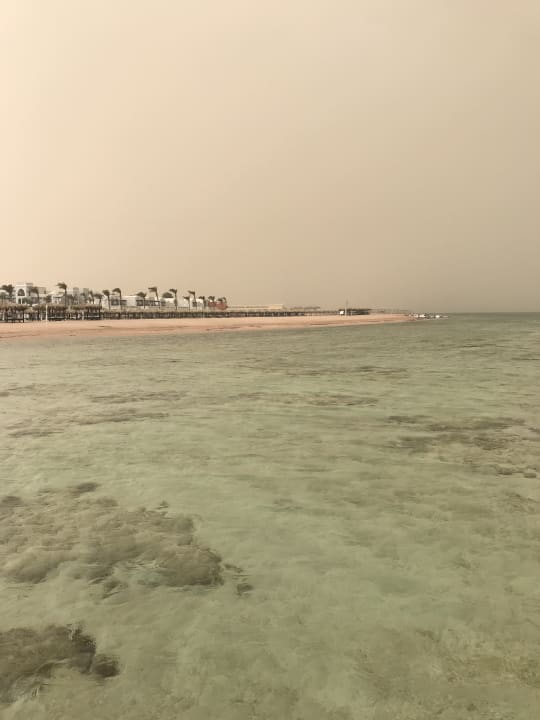 Strand Pickalbatros Royal Moderna Resort-Sharm El Sheikh