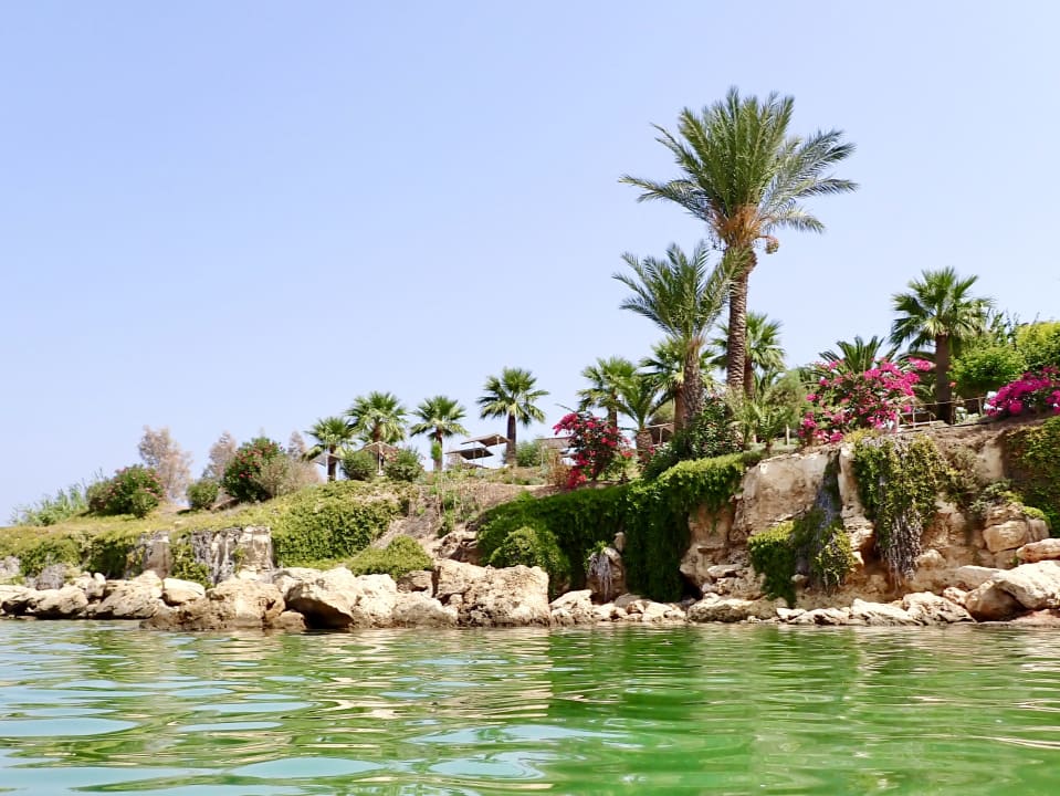 Gartenanlage Crystal Springs Beach Hotel