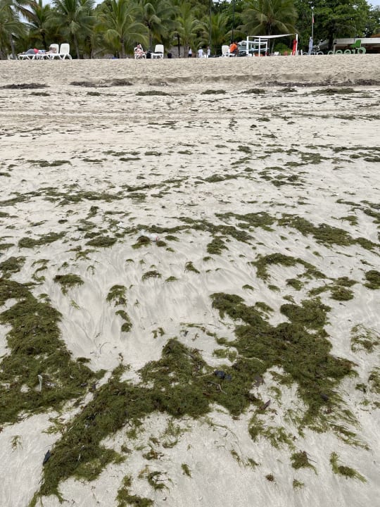 Strand Viva Heavens by Wyndham - All Inclusive Resort