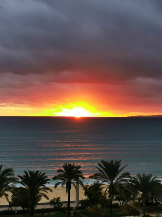 Ausblick Iberostar Selection Playa de Palma