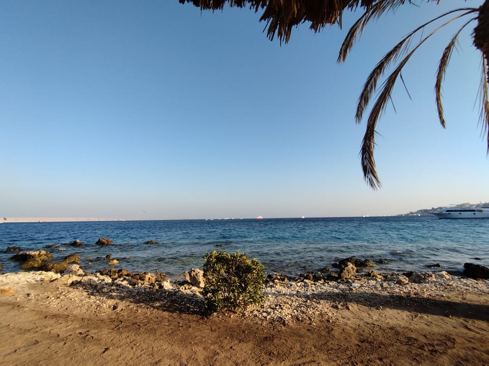 Strand Regina Resort and Aqua Park Hurghada