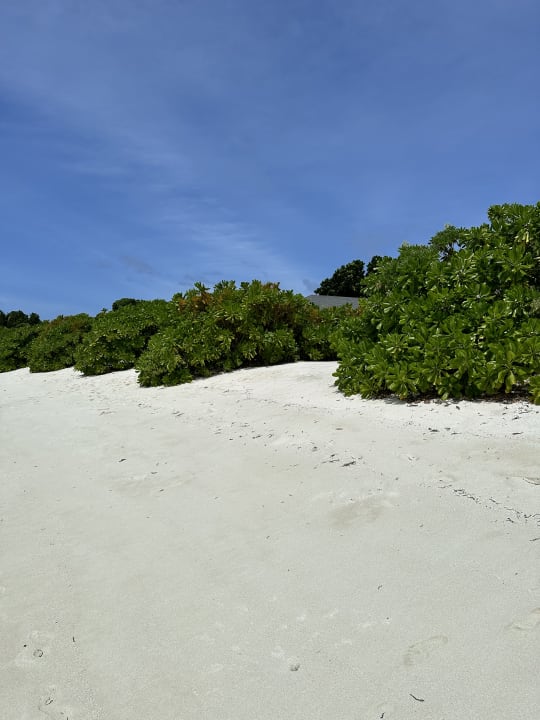 Strand Jawakara Islands Maldives