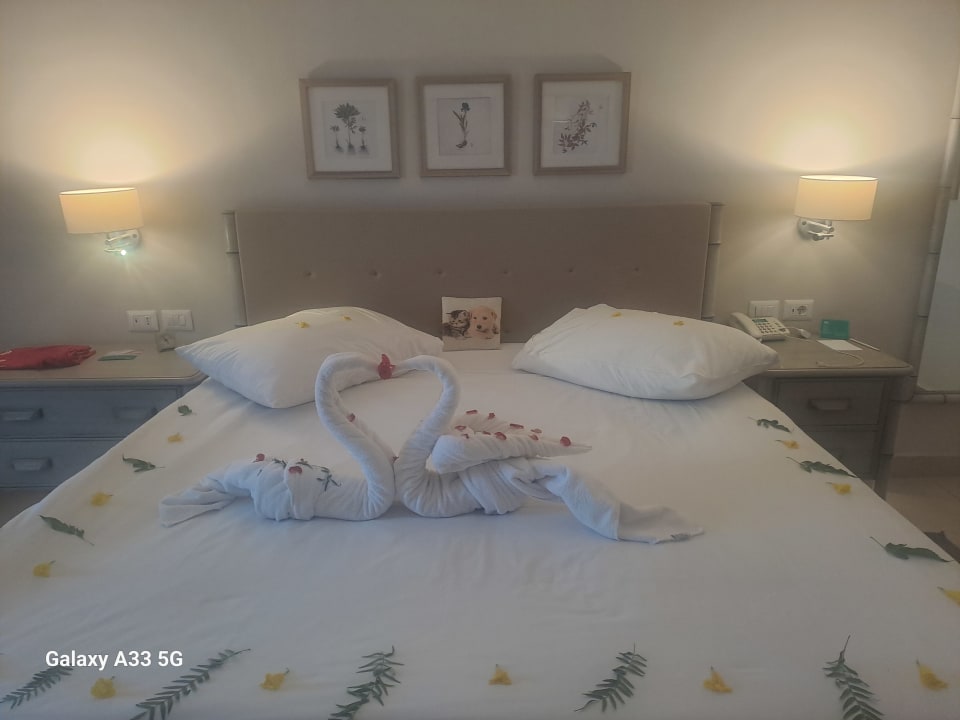 Zimmer JAZ Elite Casa del Mar Beach