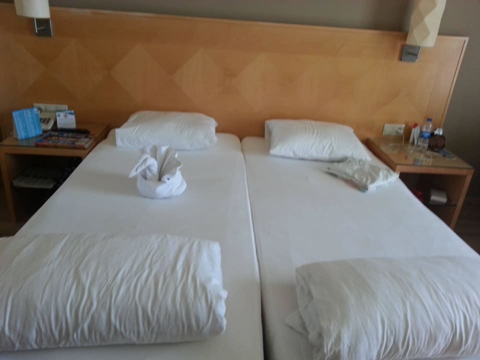 Doppelbett Sealife Buket Resort & Beach