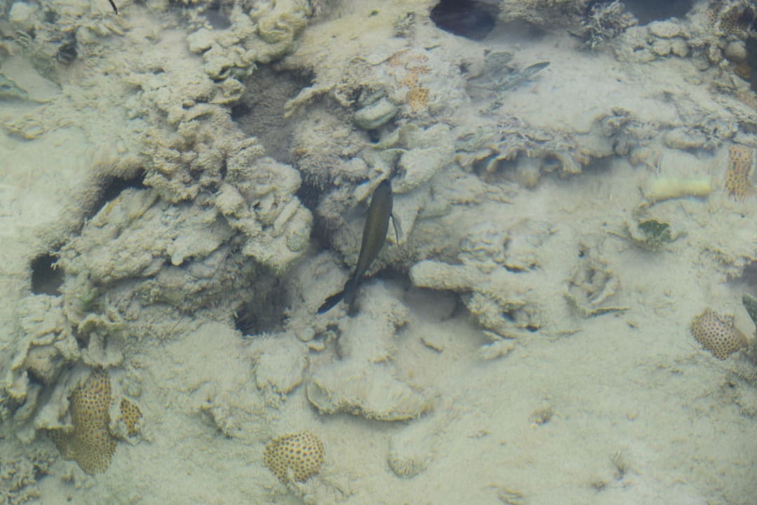 Strand Bahia Principe Grand El Portillo