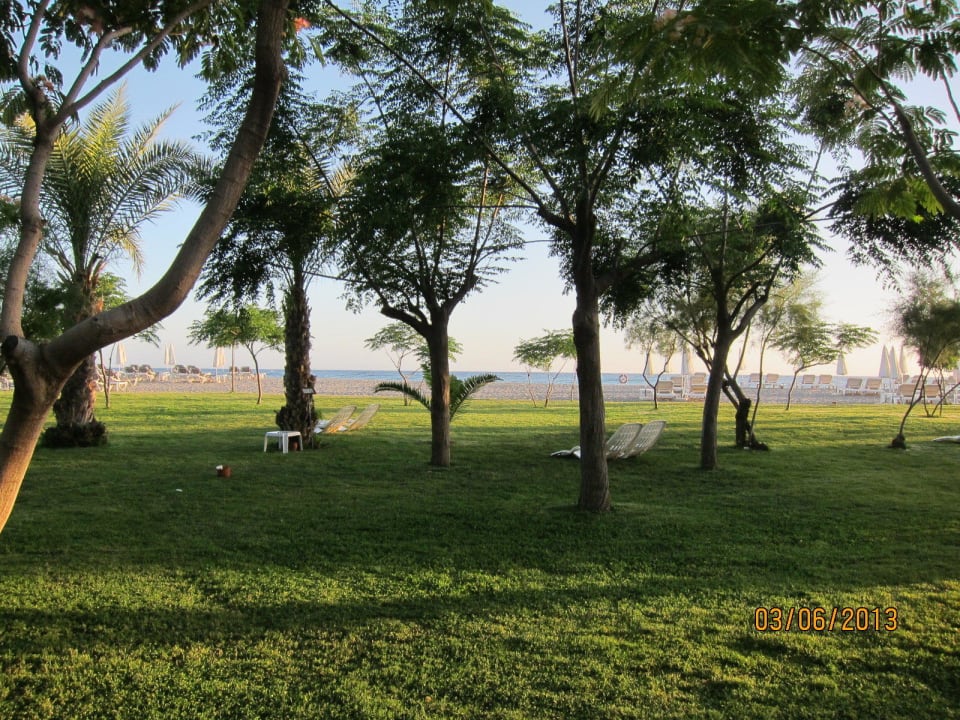 Direkt am Strand kann man unter Bäumen liegen. Labranda Alantur Resort
