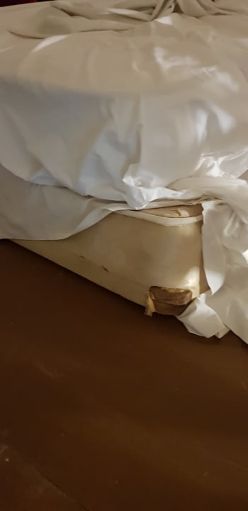 Zimmer Wyndham Alltra Samana