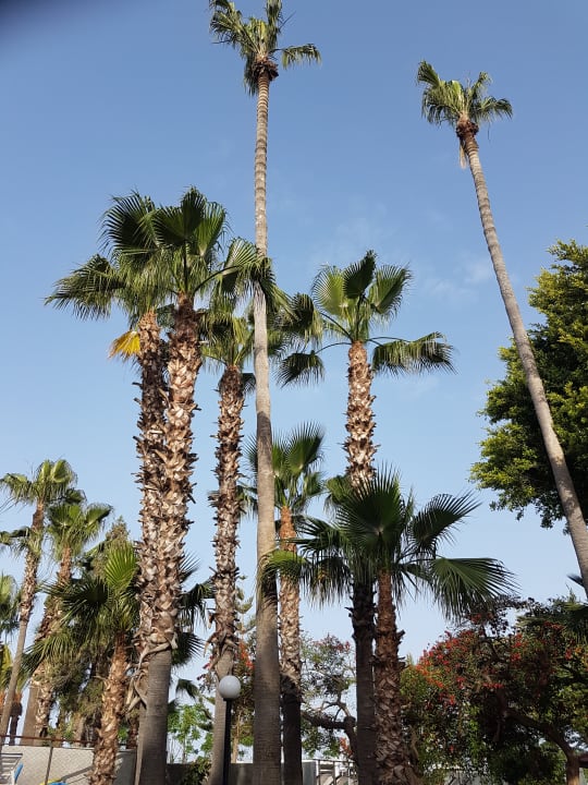 Gartenanlage Labranda Alantur Resort