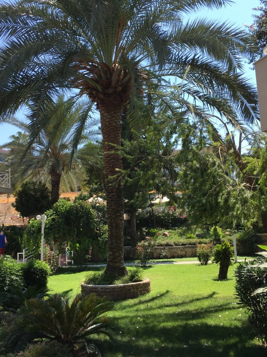 Gartenanlage Seaden Corolla Hotel