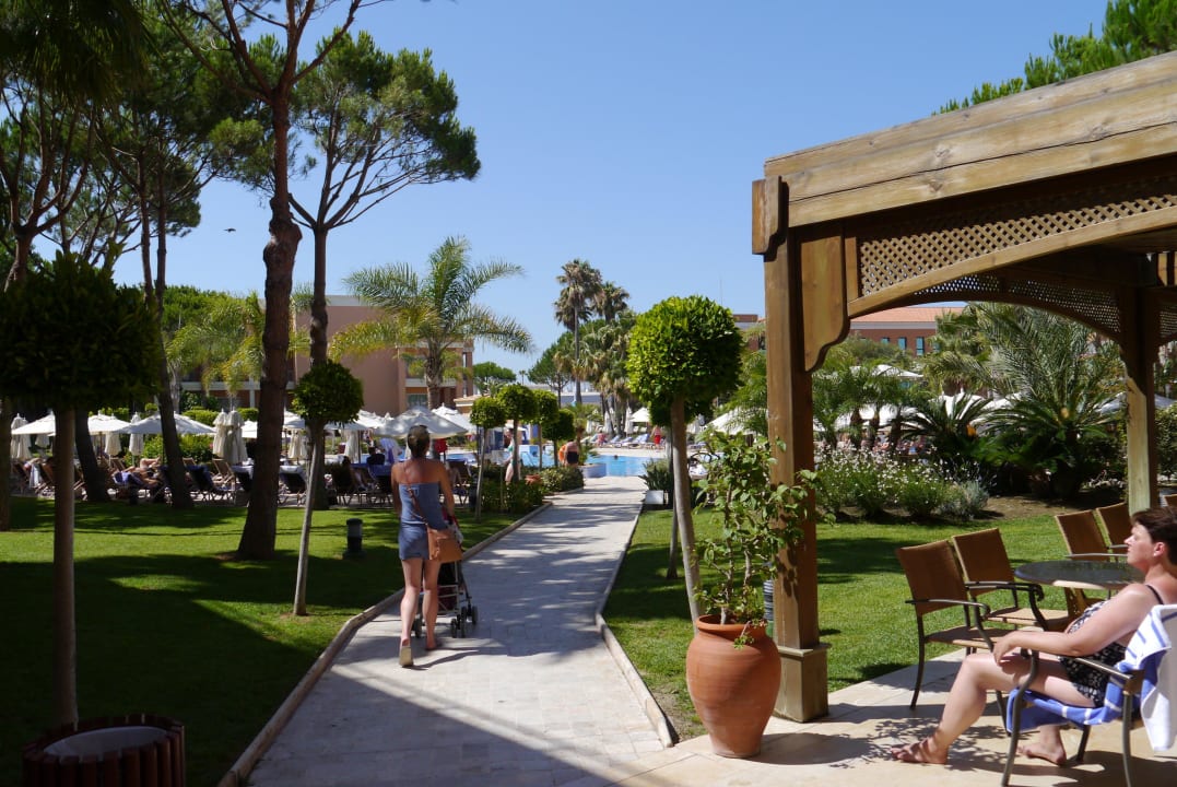 Blick auf den Ruhepool Hipotels Barrosa Garden