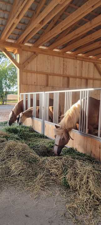 Sport & Freizeit Pałac i Folwark Galiny