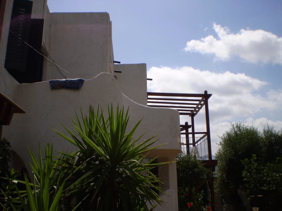 The hotel Kalypso Hotel
