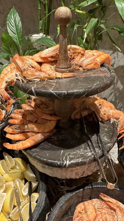 Gastro Acanthus Cennet Barut Collection