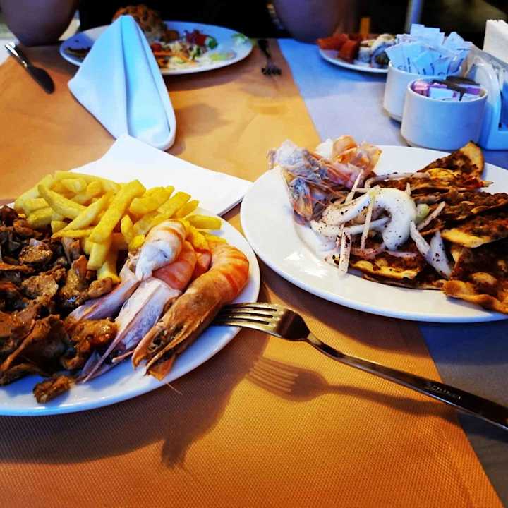 Gastro Seashell Vega