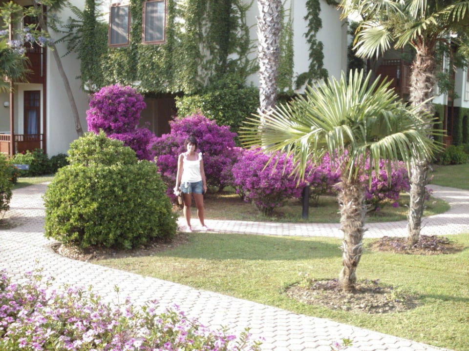 Blummenpracht Club Tuana Fethiye